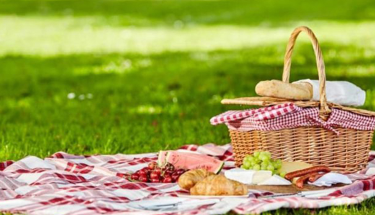 Un cestino da picnic su una tovaglia a quadri rossi e bianchi, con vari alimenti come frutta, pane e formaggi, su un prato verde.