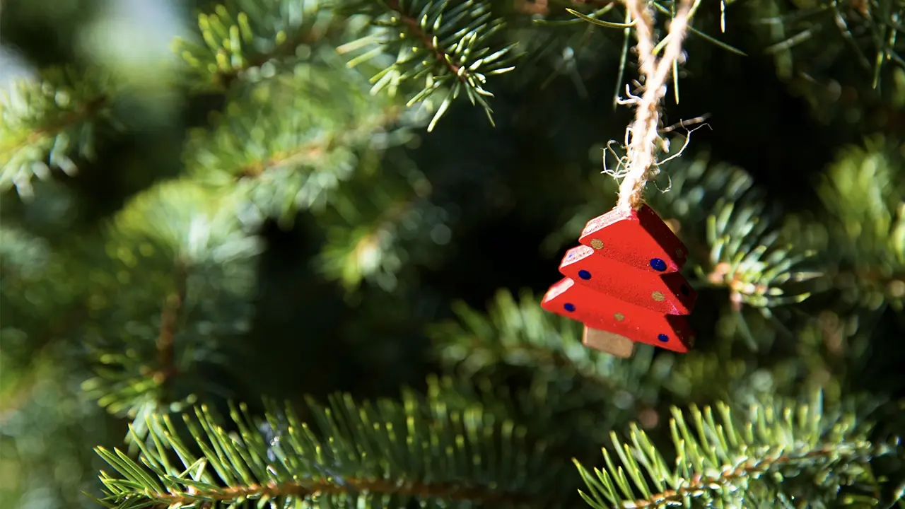 Decorazione fai-da-te per l'albero di Natale